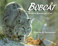 Bobcat cover
