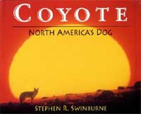 Coyote - North America's Dog cover