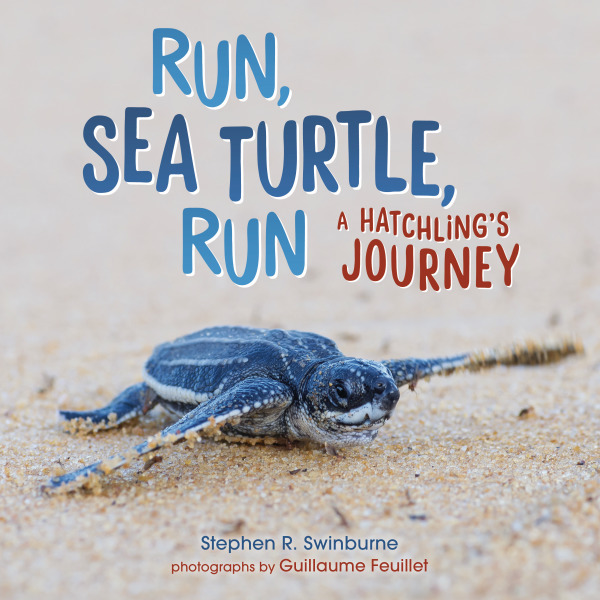 Run, Sea Turtle, Run: A Hatchling's Journey cover