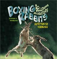Boxing Rabbits Bellowing Alligators cover