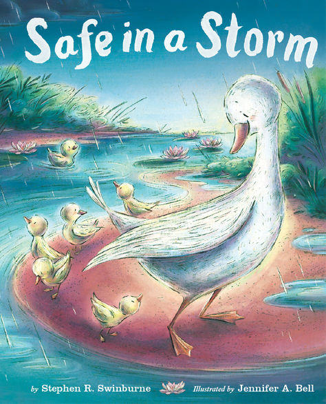Safe in a Storm Book Cover